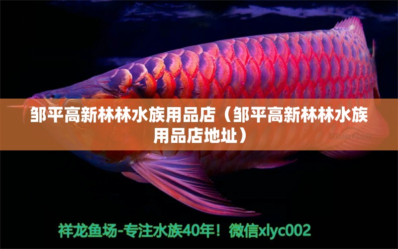 邹平高新林林水族用品店（邹平高新林林水族用品店地址） 水族用品