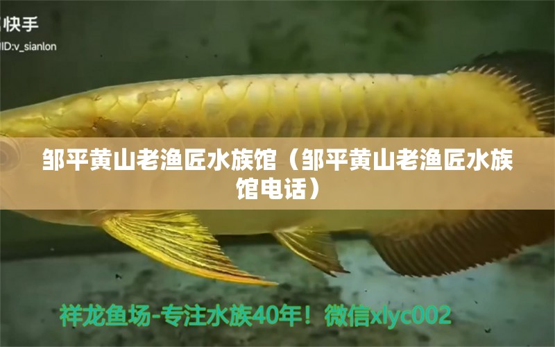 邹平黄山老渔匠水族馆（邹平黄山老渔匠水族馆电话）