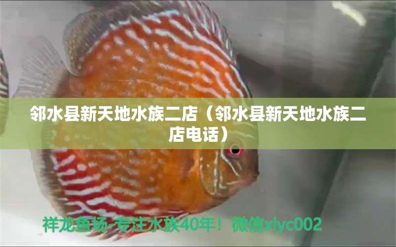 邻水县新天地水族二店（邻水县新天地水族二店电话）