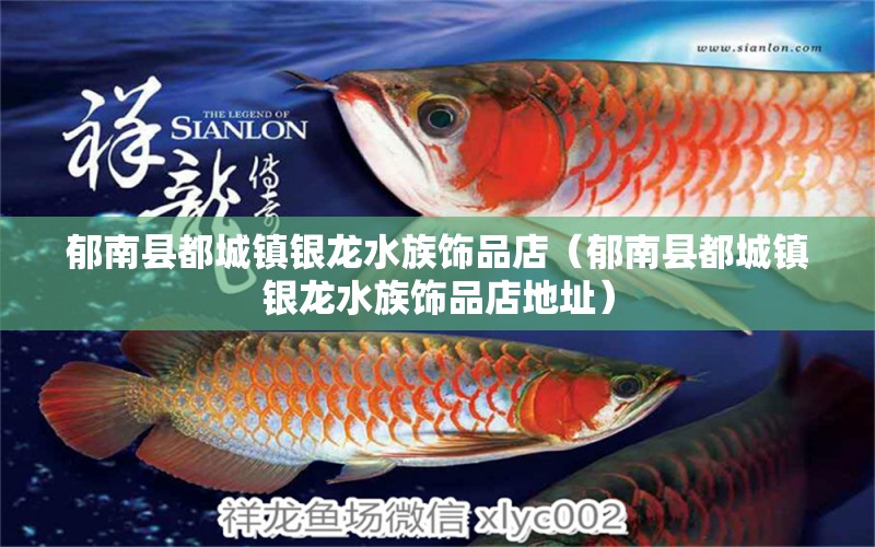 郁南县都城镇银龙水族饰品店（郁南县都城镇银龙水族饰品店地址）