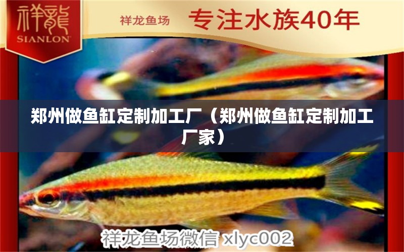 郑州做鱼缸定制加工厂（郑州做鱼缸定制加工厂家） 其他品牌鱼缸