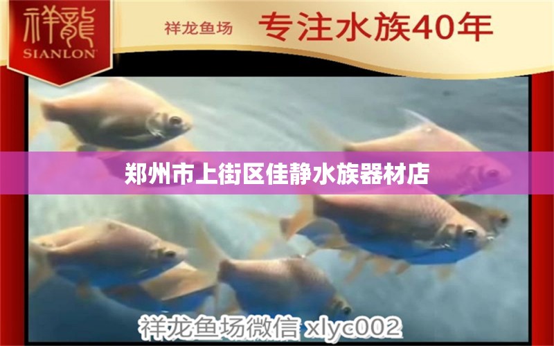 郑州市上街区佳静水族器材店 全国水族馆企业名录