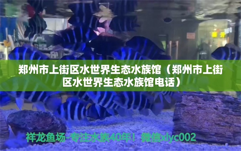 郑州市上街区水世界生态水族馆（郑州市上街区水世界生态水族馆电话） 全国水族馆企业名录