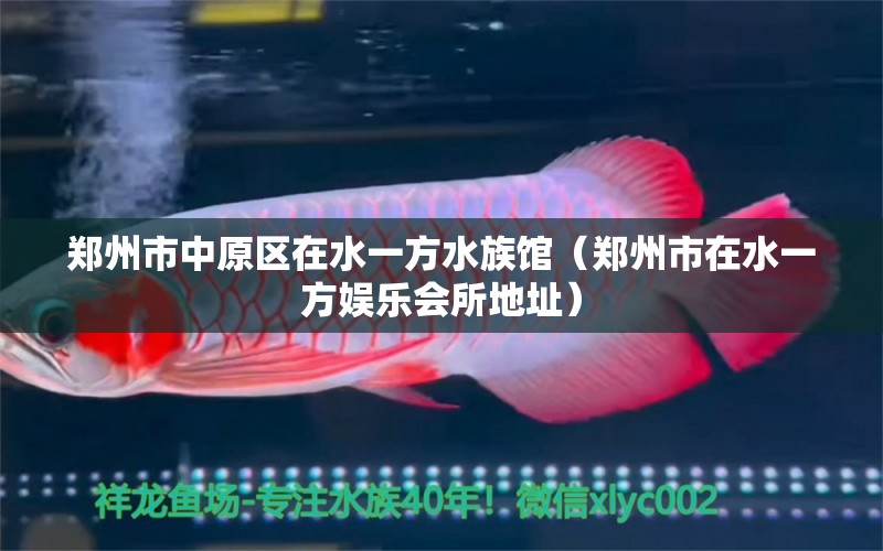 郑州市中原区在水一方水族馆（郑州市在水一方娱乐会所地址）