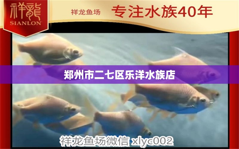 郑州市二七区乐洋水族店 全国水族馆企业名录