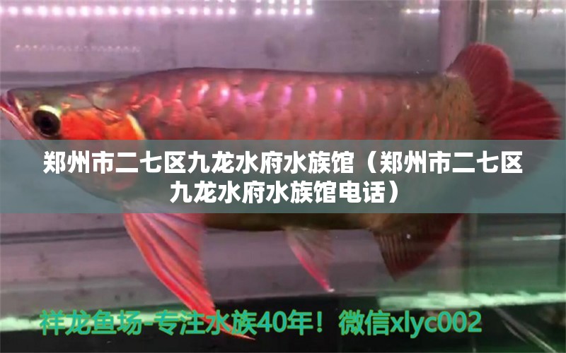 郑州市二七区九龙水府水族馆（郑州市二七区九龙水府水族馆电话）