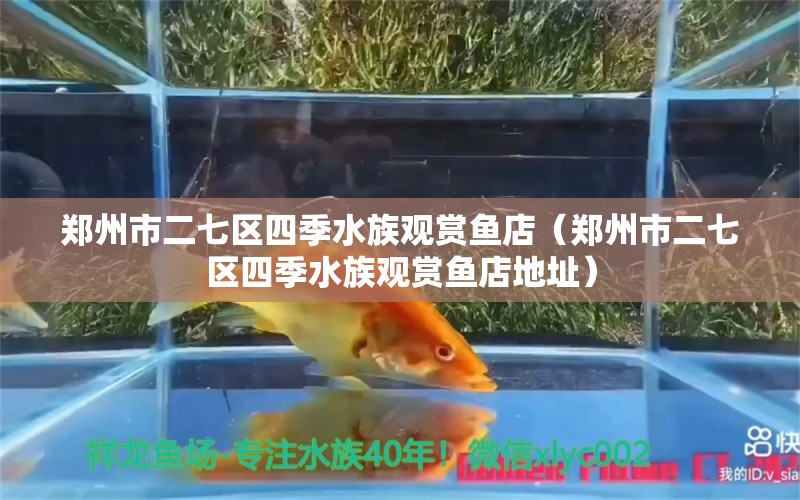 郑州市二七区四季水族观赏鱼店（郑州市二七区四季水族观赏鱼店地址）