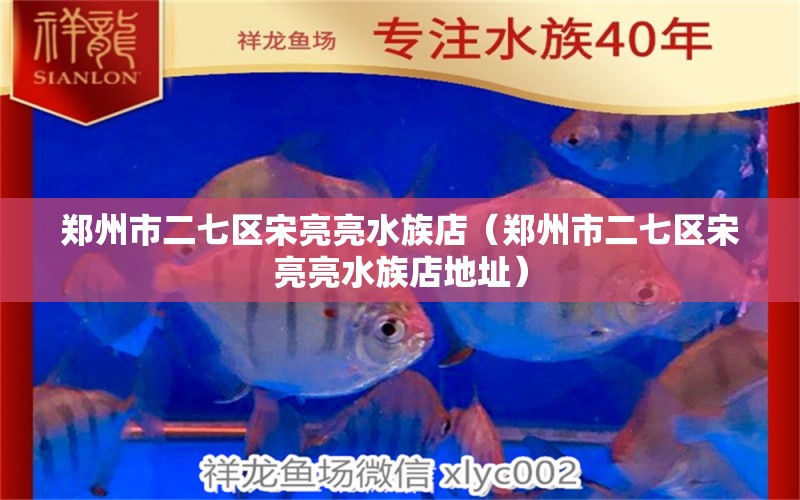 郑州市二七区宋亮亮水族店（郑州市二七区宋亮亮水族店地址）