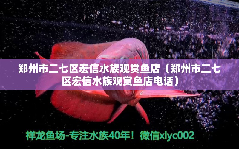 郑州市二七区宏信水族观赏鱼店（郑州市二七区宏信水族观赏鱼店电话）