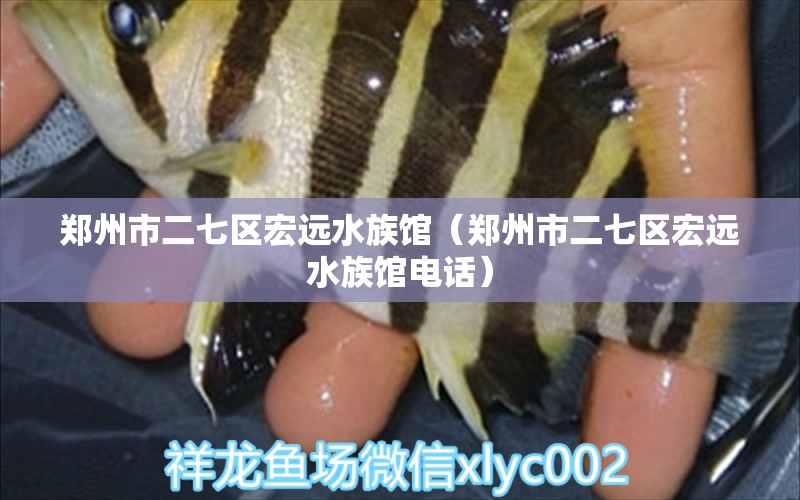 郑州市二七区宏远水族馆（郑州市二七区宏远水族馆电话）