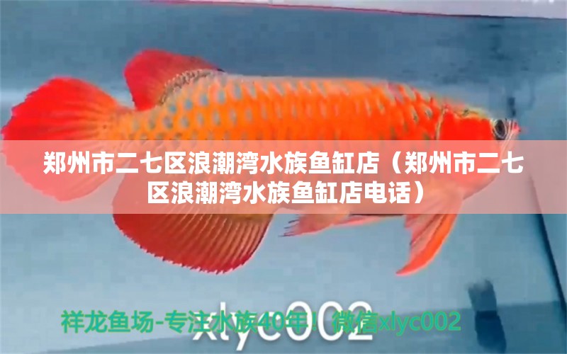 郑州市二七区浪潮湾水族鱼缸店（郑州市二七区浪潮湾水族鱼缸店电话）