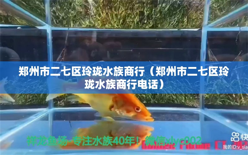 郑州市二七区玲珑水族商行（郑州市二七区玲珑水族商行电话） 全国水族馆企业名录