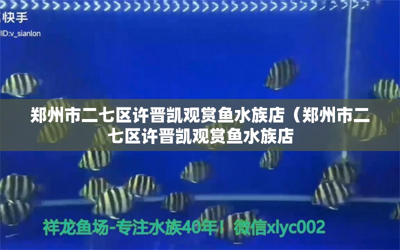 郑州市二七区许晋凯观赏鱼水族店（郑州市二七区许晋凯观赏鱼水族店 全国水族馆企业名录 第1张