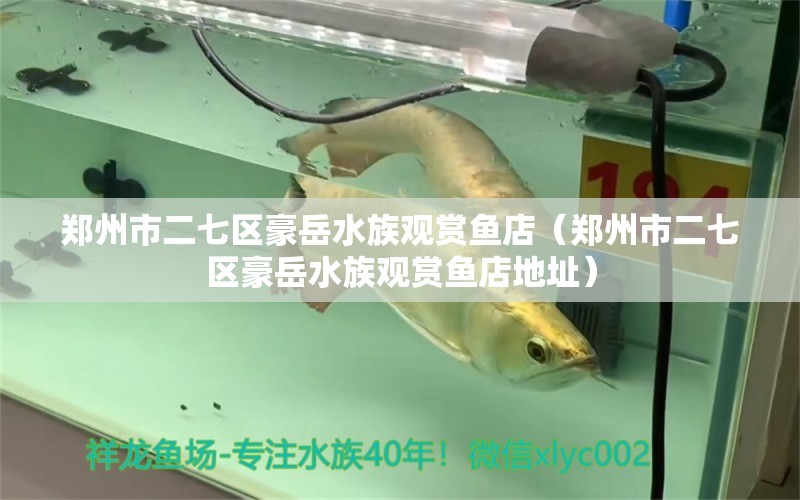 郑州市二七区豪岳水族观赏鱼店（郑州市二七区豪岳水族观赏鱼店地址）