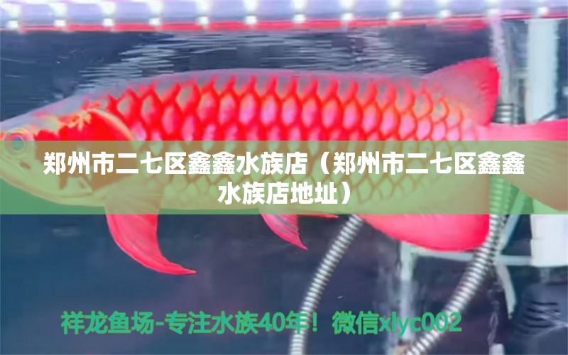 郑州市二七区鑫鑫水族店（郑州市二七区鑫鑫水族店地址）