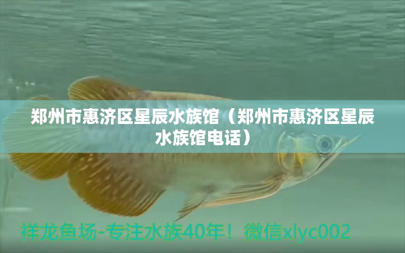 郑州市惠济区星辰水族馆（郑州市惠济区星辰水族馆电话）