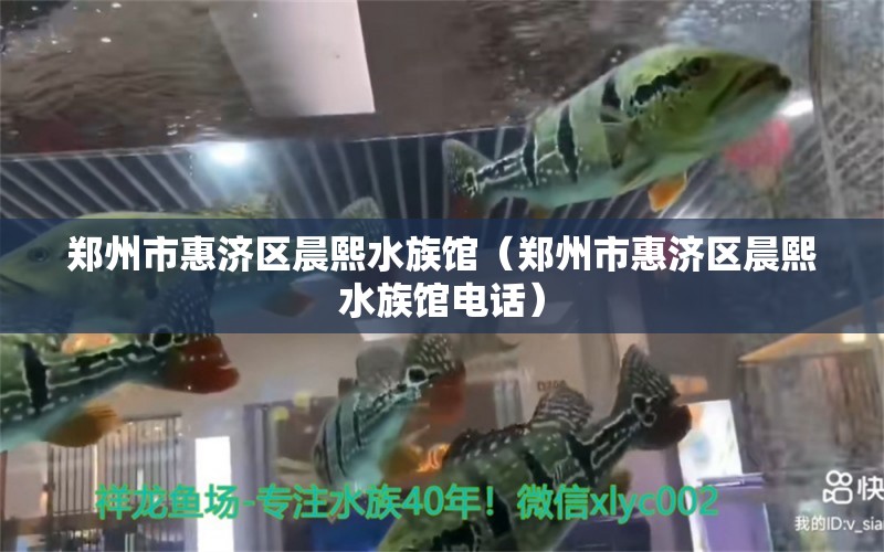 郑州市惠济区晨熙水族馆（郑州市惠济区晨熙水族馆电话）