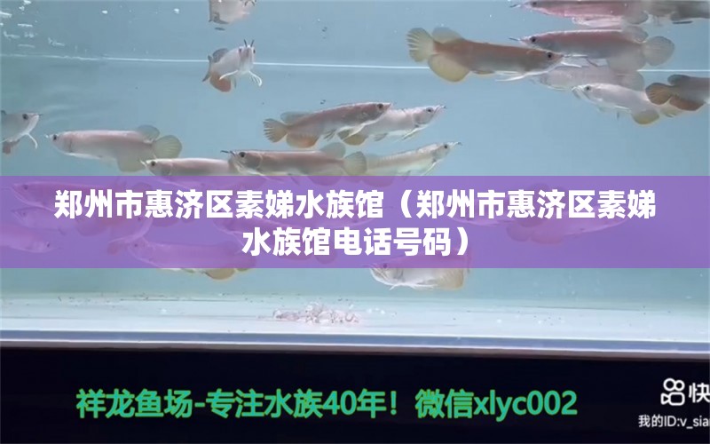 郑州市惠济区素娣水族馆（郑州市惠济区素娣水族馆电话号码） 全国水族馆企业名录