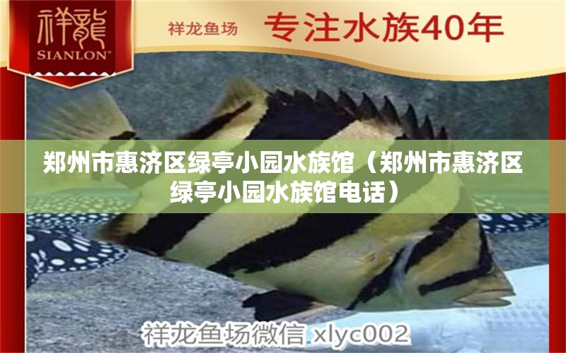 郑州市惠济区绿亭小园水族馆（郑州市惠济区绿亭小园水族馆电话）