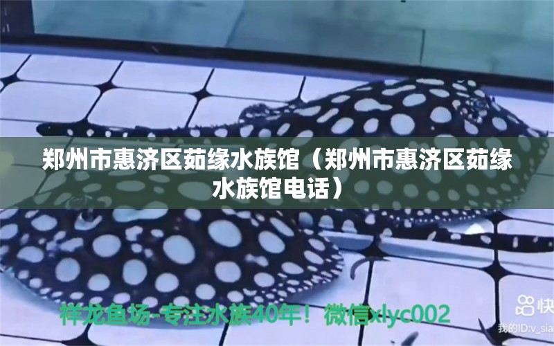 郑州市惠济区茹缘水族馆（郑州市惠济区茹缘水族馆电话） 全国水族馆企业名录