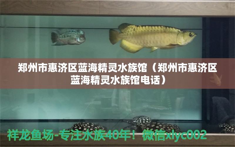 郑州市惠济区蓝海精灵水族馆（郑州市惠济区蓝海精灵水族馆电话）