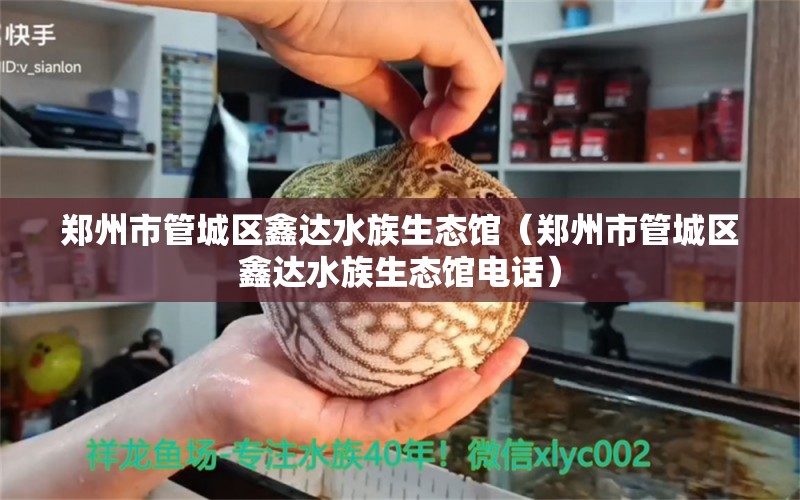 郑州市管城区鑫达水族生态馆（郑州市管城区鑫达水族生态馆电话） 全国水族馆企业名录