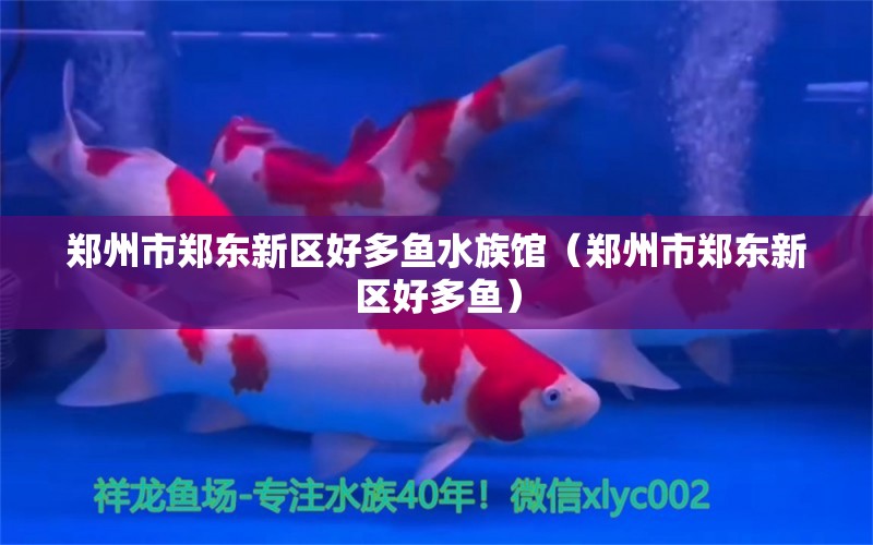 郑州市郑东新区好多鱼水族馆（郑州市郑东新区好多鱼） 全国观赏鱼市场 第2张