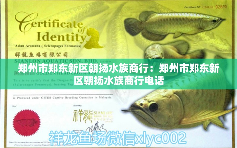 郑州市郑东新区朝扬水族商行：郑州市郑东新区朝扬水族商行电话 全国水族馆企业名录