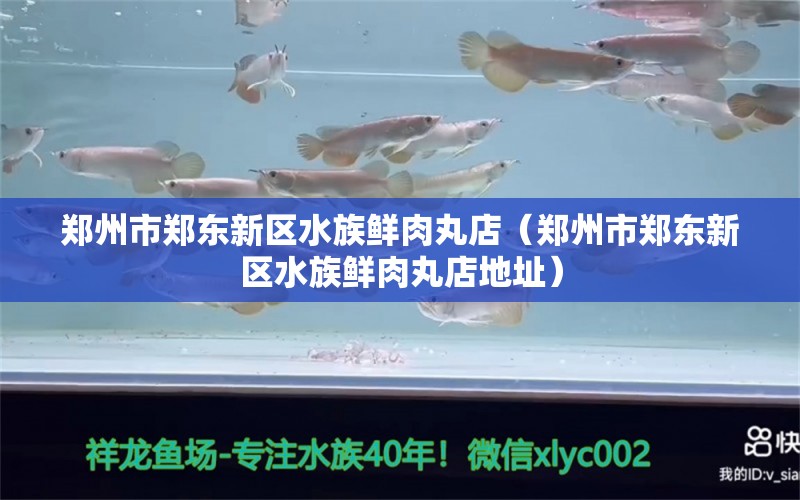 郑州市郑东新区水族鲜肉丸店（郑州市郑东新区水族鲜肉丸店地址） 全国水族馆企业名录