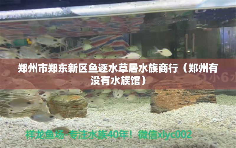 郑州市郑东新区鱼逐水草居水族商行（郑州有没有水族馆）