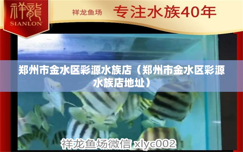 郑州市金水区彩源水族店（郑州市金水区彩源水族店地址）