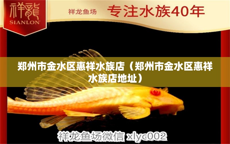 郑州市金水区惠祥水族店（郑州市金水区惠祥水族店地址）