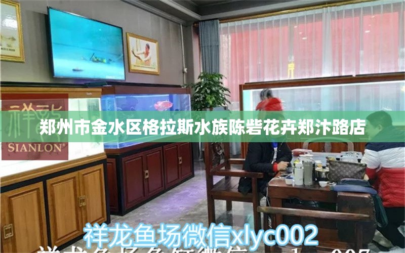 郑州市金水区格拉斯水族陈砦花卉郑汴路店 全国水族馆企业名录