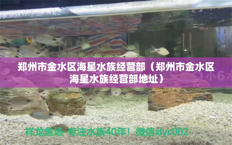 郑州市金水区海星水族经营部（郑州市金水区海星水族经营部地址）