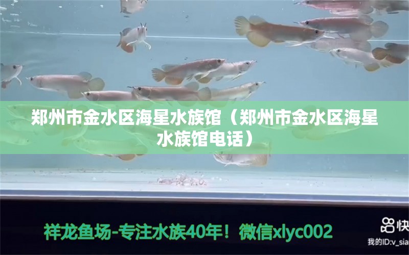 郑州市金水区海星水族馆（郑州市金水区海星水族馆电话）