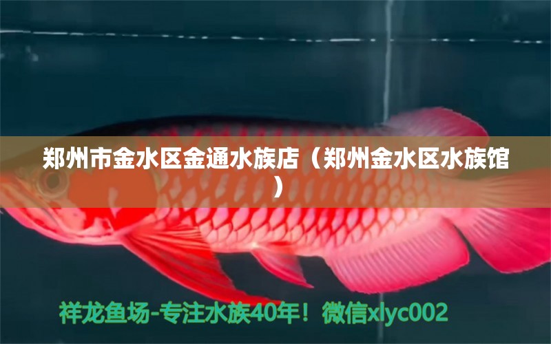 郑州市金水区金通水族店（郑州金水区水族馆）