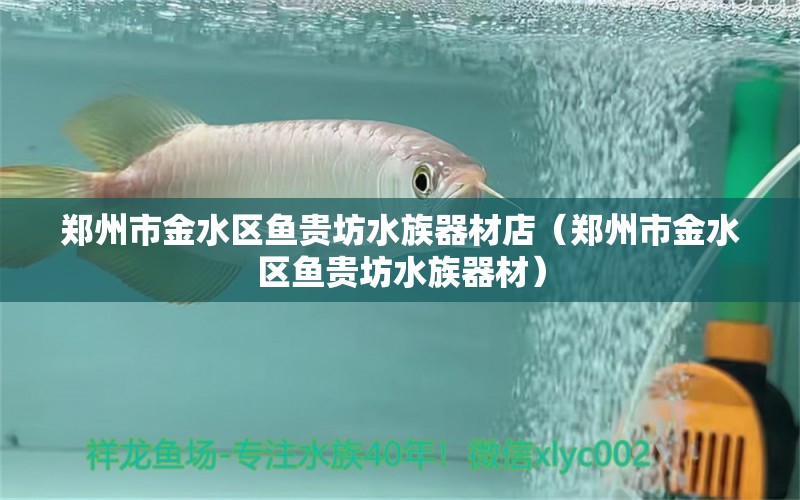 郑州市金水区鱼贵坊水族器材店（郑州市金水区鱼贵坊水族器材） 全国观赏鱼市场 第2张