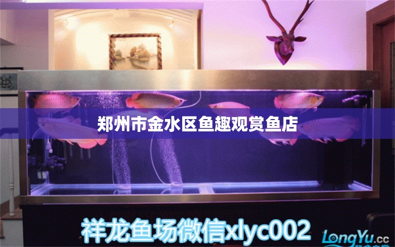 郑州市金水区鱼趣观赏鱼店 全国水族馆企业名录