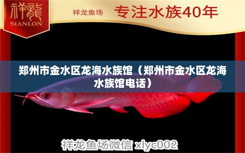 郑州市金水区龙海水族馆（郑州市金水区龙海水族馆电话）