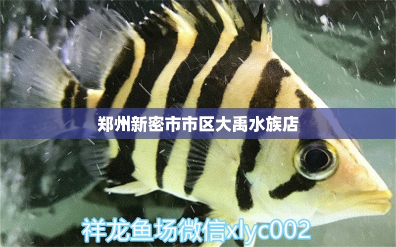 郑州新密市市区大禹水族店