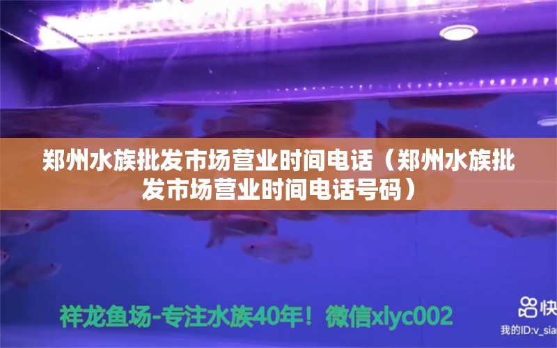 郑州水族批发市场营业时间电话（郑州水族批发市场营业时间电话号码） 观赏鱼水族批发市场