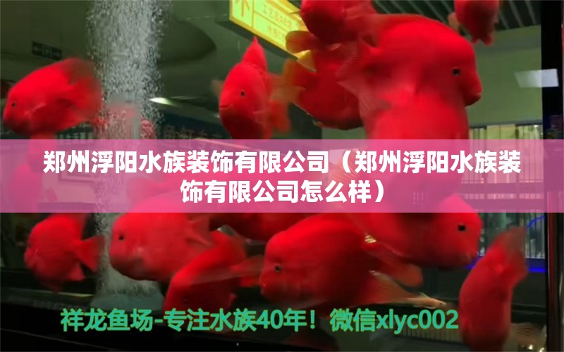 郑州浮阳水族装饰有限公司（郑州浮阳水族装饰有限公司怎么样） 全国水族馆企业名录