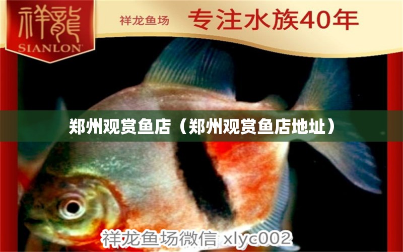 郑州观赏鱼店（郑州观赏鱼店地址） 观赏鱼市场