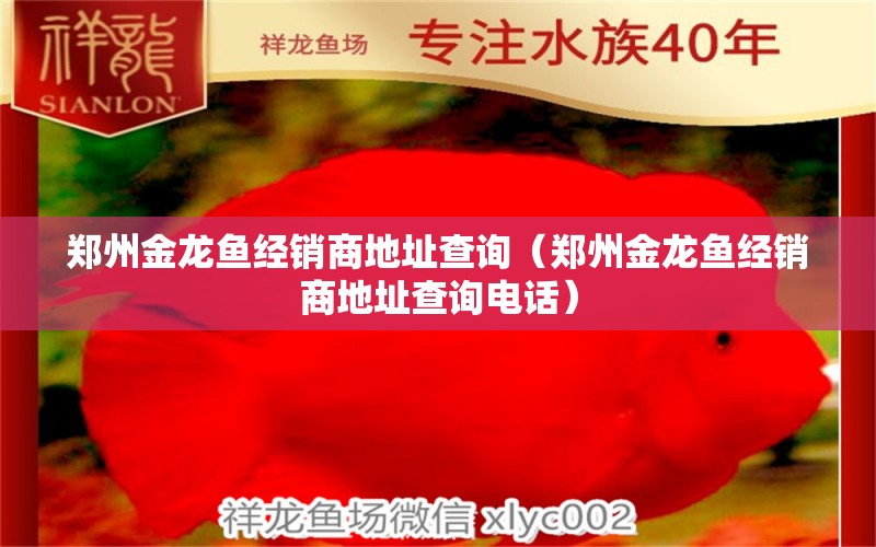 郑州金龙鱼经销商地址查询（郑州金龙鱼经销商地址查询电话）