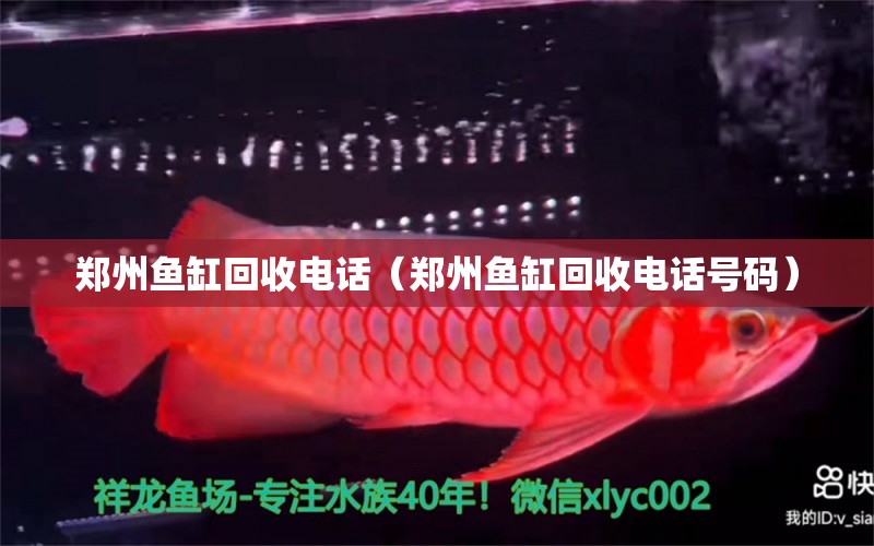 郑州鱼缸回收电话（郑州鱼缸回收电话号码） 量子养鱼技术