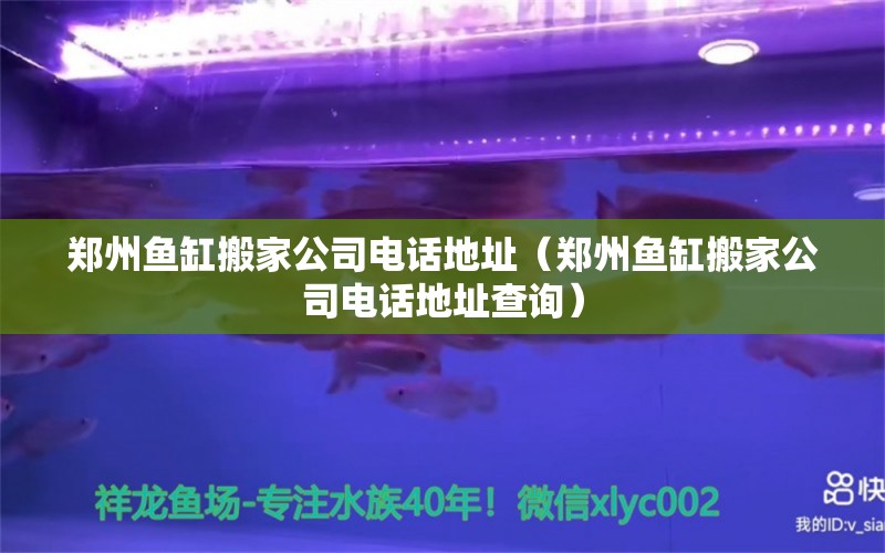 郑州鱼缸搬家公司电话地址（郑州鱼缸搬家公司电话地址查询） 祥龙水族医院