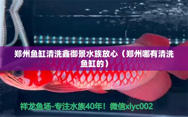 郑州鱼缸清洗鑫御景水族放心（郑州哪有清洗鱼缸的）