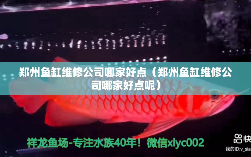 郑州鱼缸维修公司哪家好点（郑州鱼缸维修公司哪家好点呢） 水族品牌