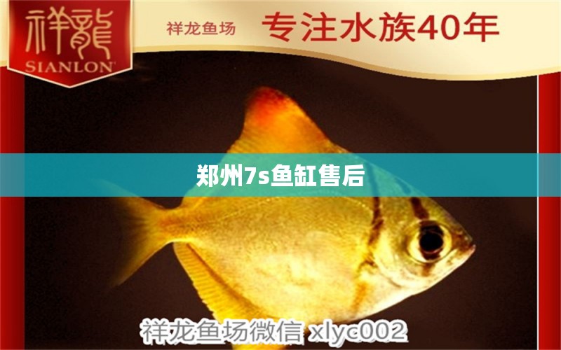 郑州7s鱼缸售后 其他品牌鱼缸