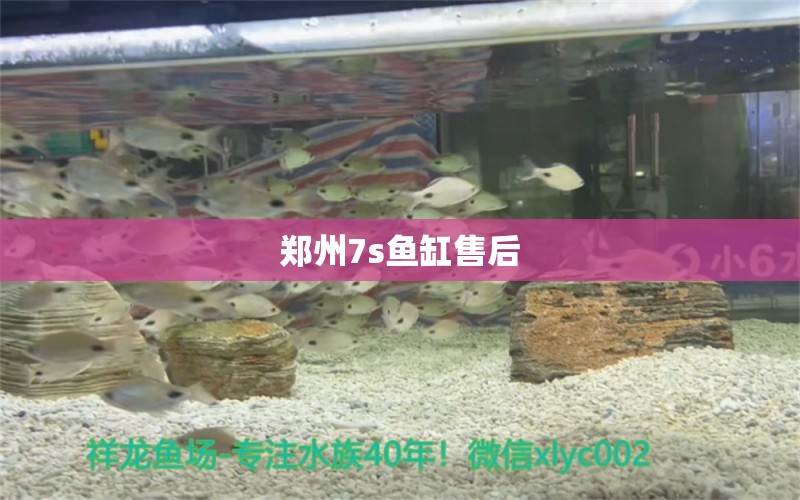 郑州7s鱼缸售后 其他品牌鱼缸